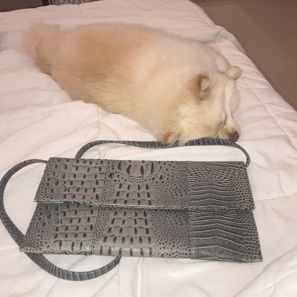 Daniela Lehavi Clutch/ Shoulder bag